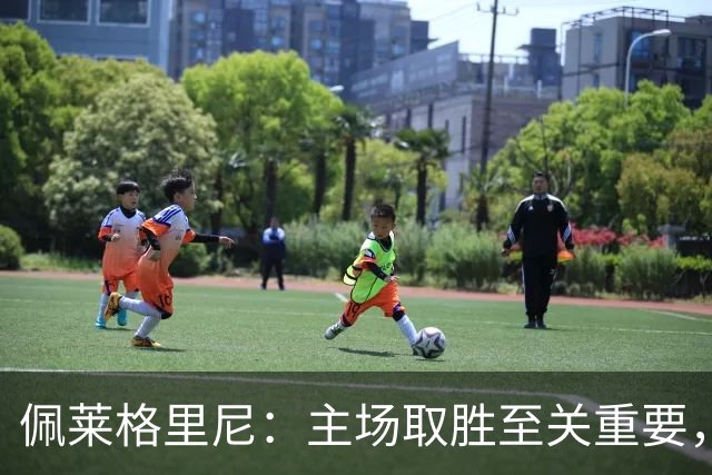 佩莱格里尼：主场取胜至关重要，我们希望争取欧冠晋级资格